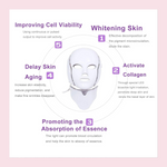 BeautyLights LED Face & Neck Mask